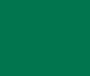 Verde Garrafa